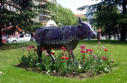 VACHES de PONT L'ABBE (29)