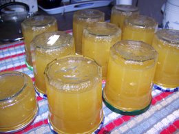 Cet été, avez-vous récolté des melons à confiture ?