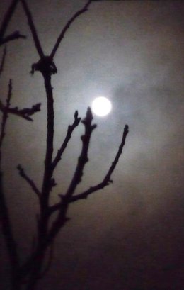 Pleine lune