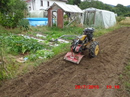 Le jardinage en décembre