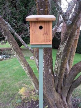 Le jardinage en décembre