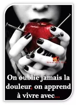 citation du jour