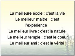 citation du jour