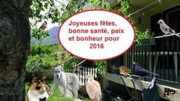 Meilleurs voeux pour 2016!