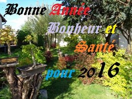 JOYEUSE FETES a TOUTES et TOUS les J_AMATEURS