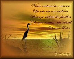 citation du jour