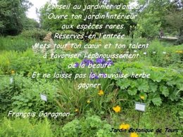 citation du jour