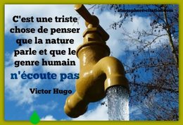 citation du jour