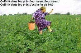 Un Peu D Humour Page 12 Forum Jardinage