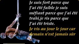 citation du jour