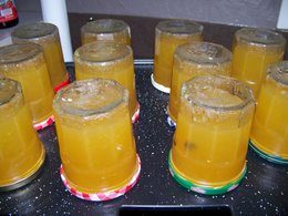 Cet été, avez-vous récolté des melons à confiture ?