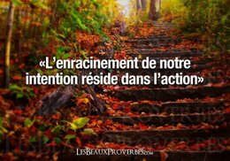 citation du jour