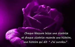 citation du jour