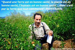 citation du jour