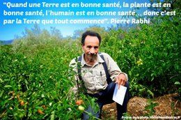 citation du jour