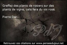 citation du jour