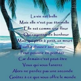 citation du jour