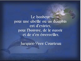 citation du jour