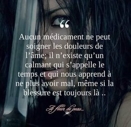 citation du jour