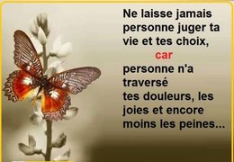 citation du jour