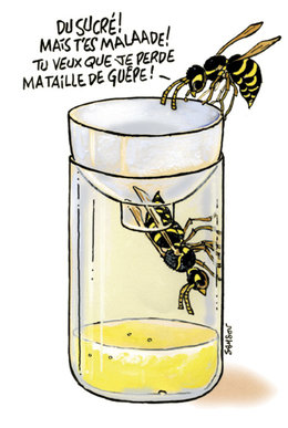 chasser les fourmis des fruitiers 