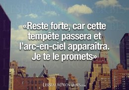 citation du jour