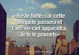 citation du jour