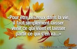 citation du jour