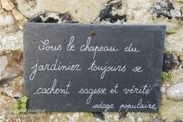 citation du jour