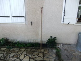 Outils de jardin : la bonne panoplie