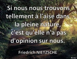 citation du jour