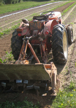 Quel outil pour retourner votre potager ?