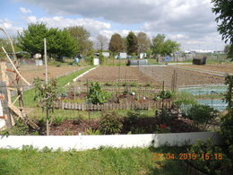 Quel outil pour retourner votre potager ?
