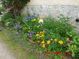 UN BOUQUET DE PRINTEMPS