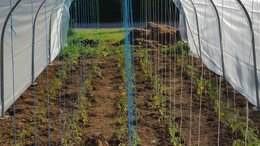 Avancement des travaux dans le potager