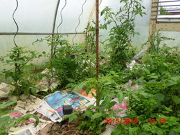 Avancement des travaux dans le potager