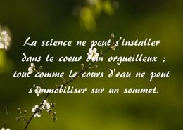 citation du jour