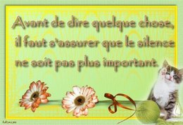 citation du jour