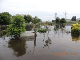 inondation de ma serre