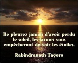 citation du jour