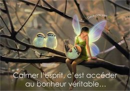 citation du jour