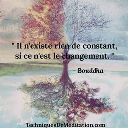 citation du jour