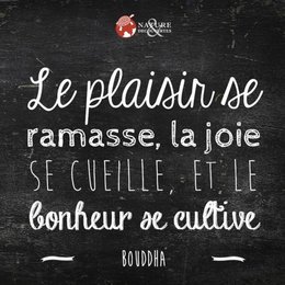 citation du jour