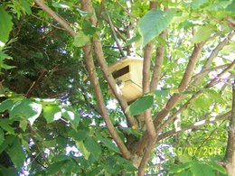 Ou sont les oiseaux dans votre jardin ?