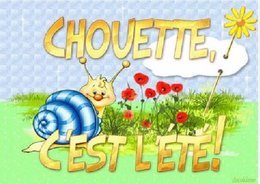 Un mois déjà !