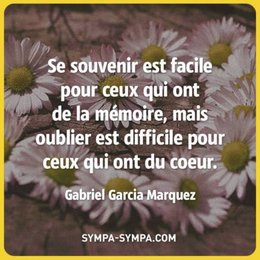 citation du jour