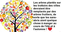 citation du jour