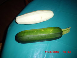 Vos plus belles courges