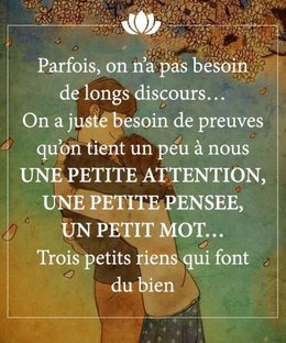 citation du jour