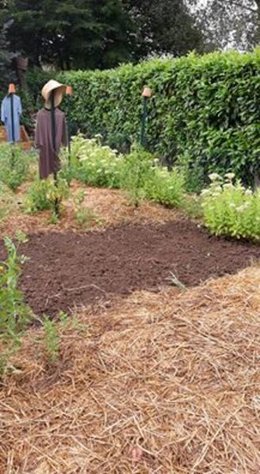 Travail de la terre après la pluie